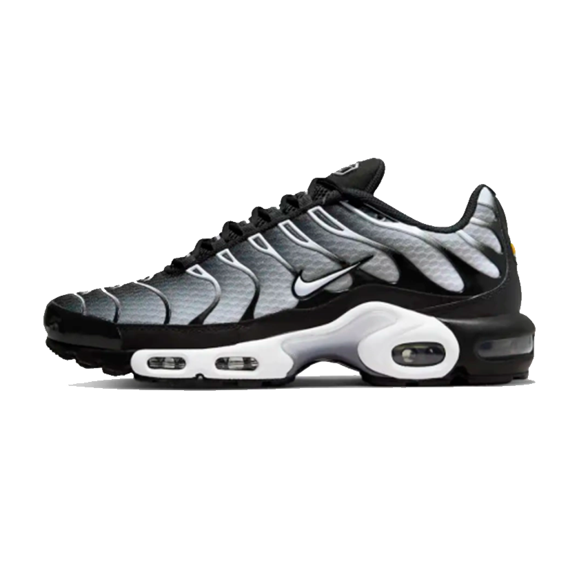 Nike Air Max Tn Plus Silver
