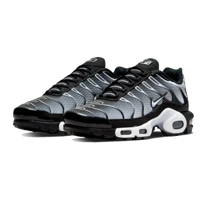 Nike Air Max Tn Plus Silver