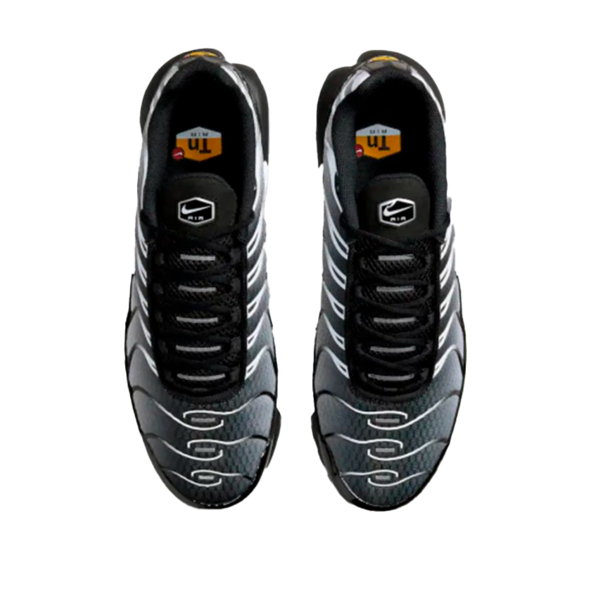 Nike Air Max Tn Plus Silver
