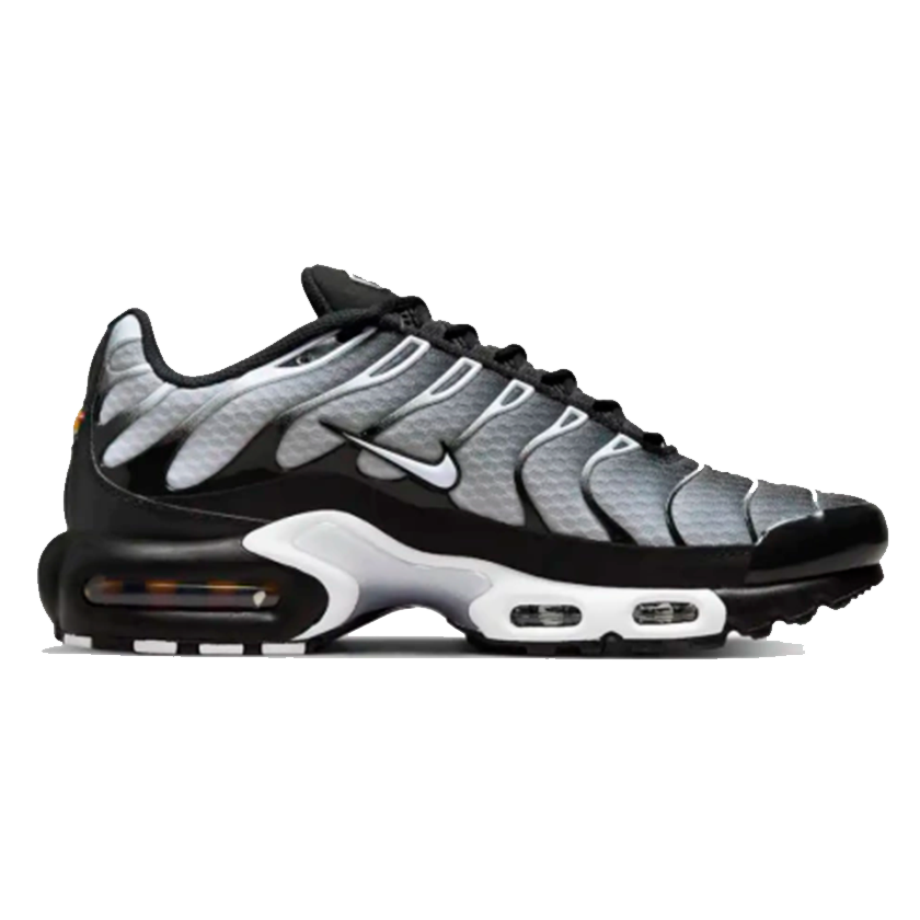 Nike Air Max Tn Plus Silver