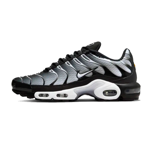 Nike Air Max Tn Plus Silver