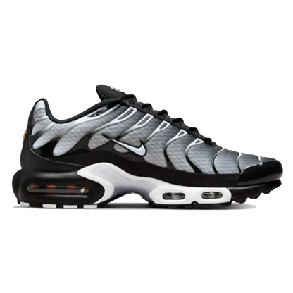 Nike Air Max Tn Plus Silver